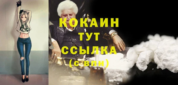 индика Болохово