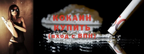 стаф Верея