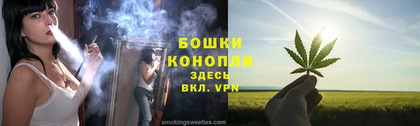 стаф Верея
