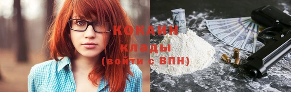 стаф Верея