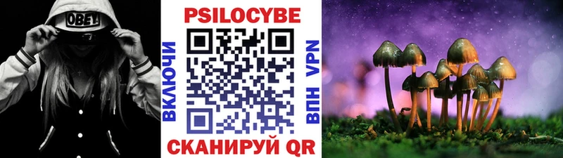Галлюциногенные грибы мицелий  hydra   Высоцк 